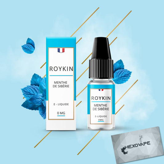 Eliquide Cigarette électronique Hexovape roykin menthe siberie 10 ml 